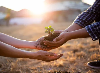 Vente de céréales à la Ferme La Maison Marchand, Vineuil, Loir et Cher (41)