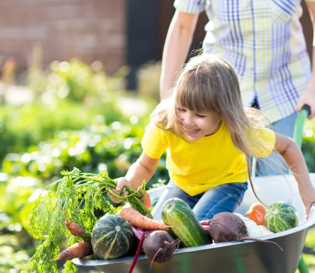 Maison Marchand, exploitation familiale maraîchère et céréalière à Vineuil (41)