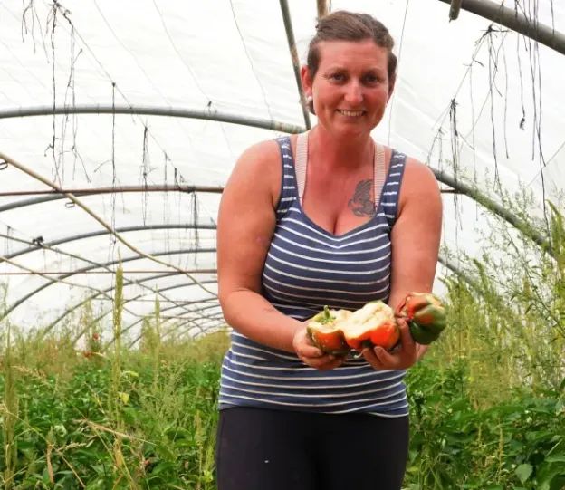 Exploitation, céréalière La Maison Marchand à Vineuil, près de Blois, Loir et Cher